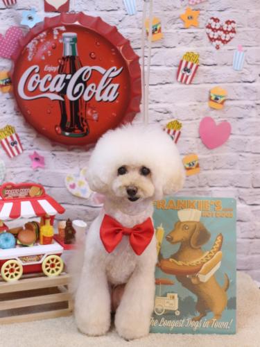 20230919ピッピちゃん